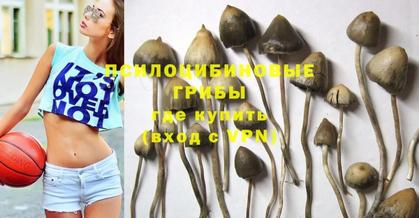 jwh Алзамай