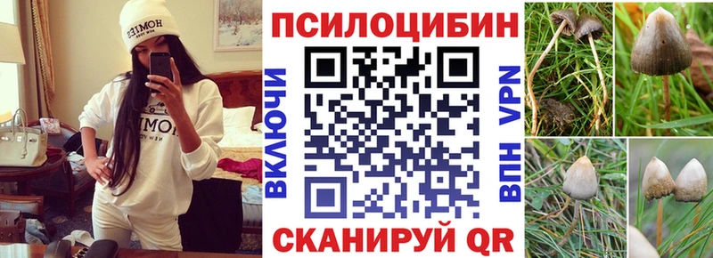 продажа наркотиков  Сельцо  Галлюциногенные грибы ЛСД 